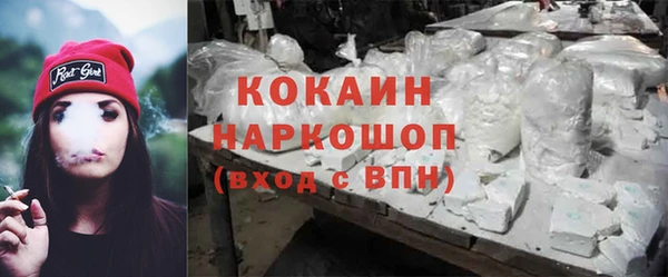 сатива Володарск