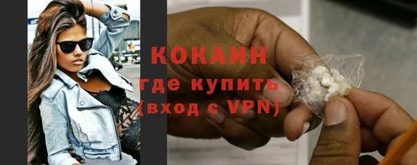 сатива Володарск