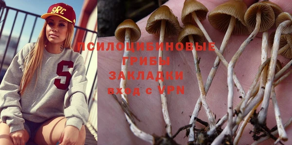 сатива Володарск