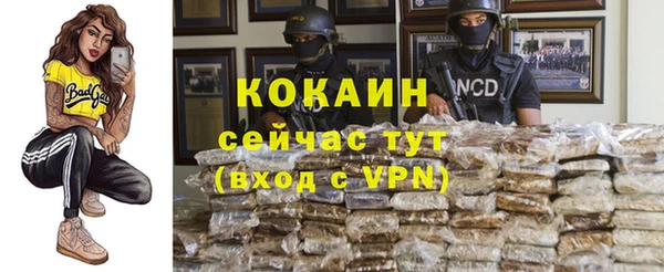 сатива Володарск