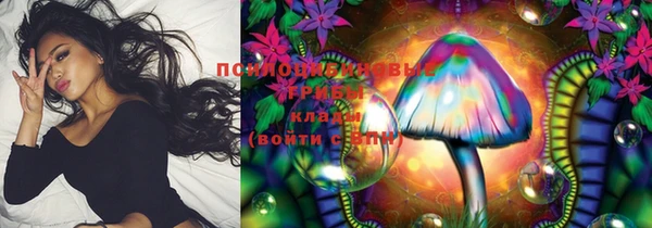 индика Снежногорск